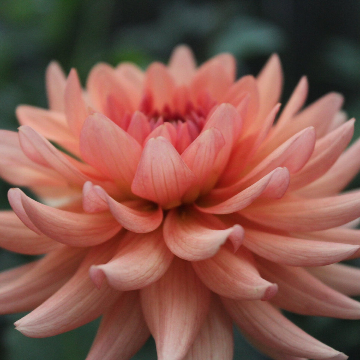 RM Electrical - Freese Flower Farm
